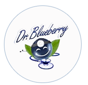 Dr. Blueberry